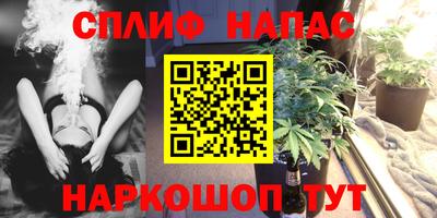 СК Славгород