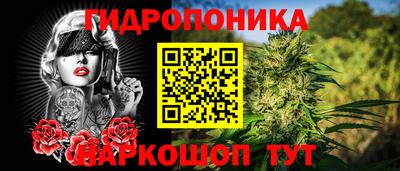 СК Славгород