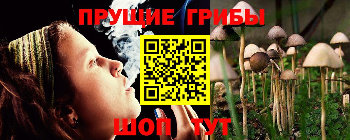 Новошахтинск  Псилоцибиновые грибы мухоморы  Вход с VPN 